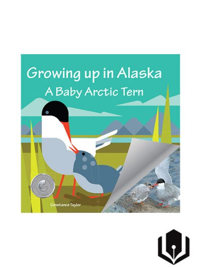Growing up in Alaska: A Baby Arctic Tern